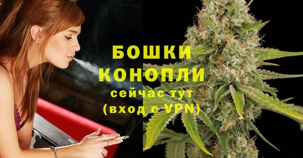 spice Елизово