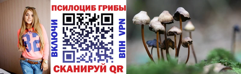 Галлюциногенные грибы GOLDEN TEACHER закладка Алексеевка