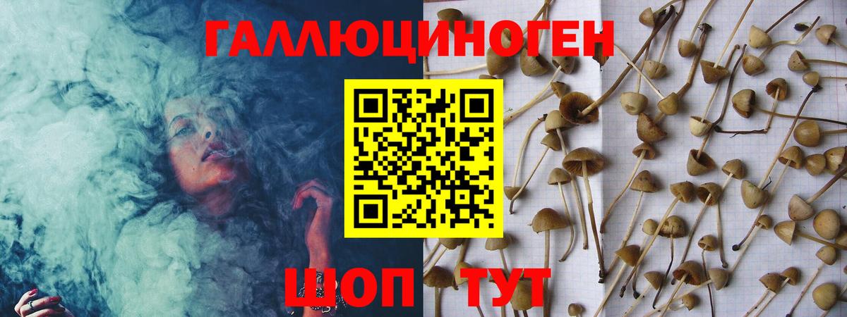 Алексеевка  купить  сайты  Вход с VPN  Псилоцибиновые грибы GOLDEN TEACHER  Псилоцибиновые грибы мухоморы 
